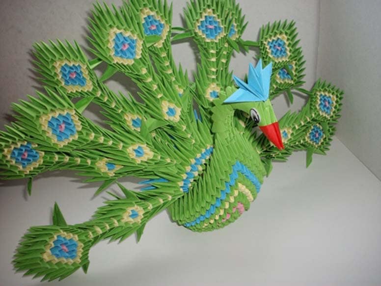 павлин2 павлин2