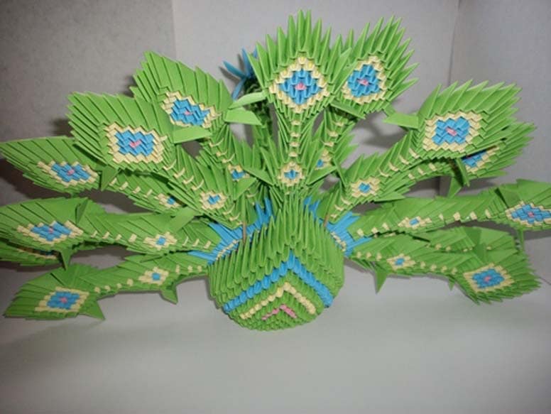 павлин3 павлин3