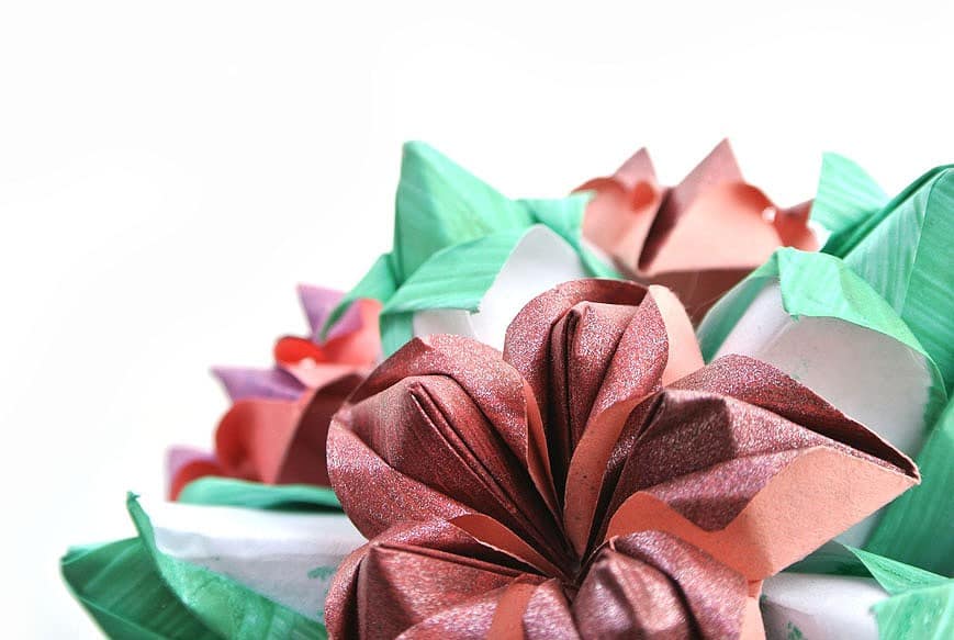 DSC_4813