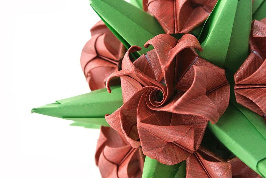 DSC_7411
